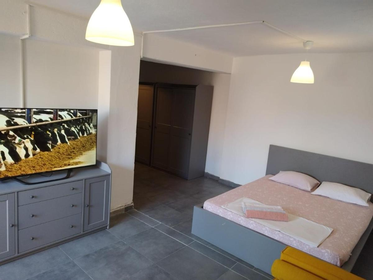Apartmani Radic Rg روغوزنيكا المظهر الخارجي الصورة